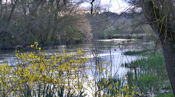 Bords de l'indre