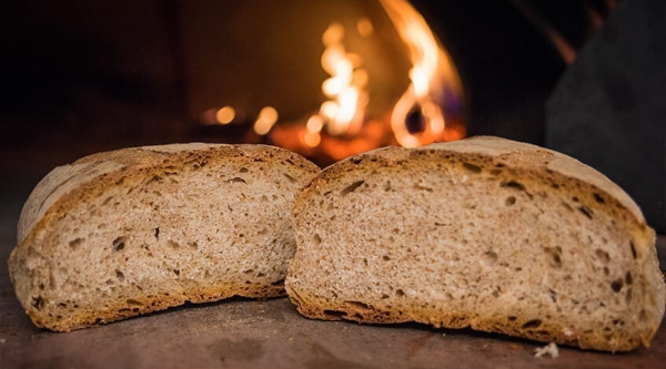 La compagnie des seniors