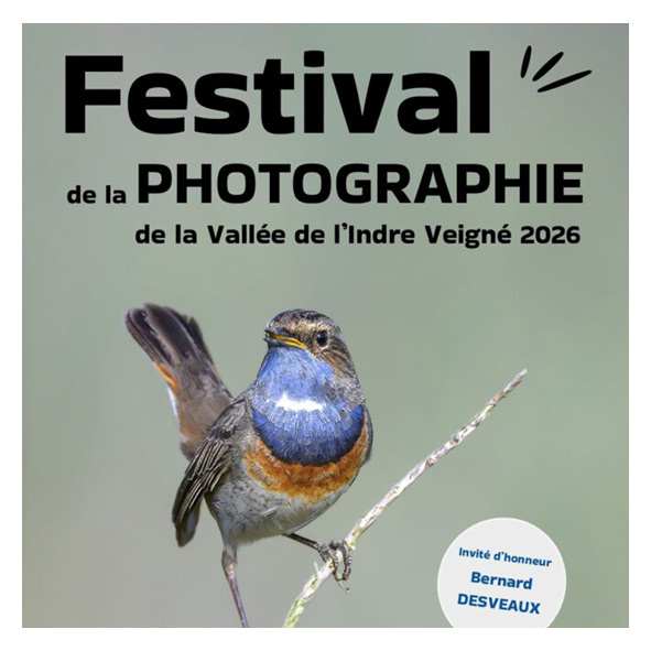festival
